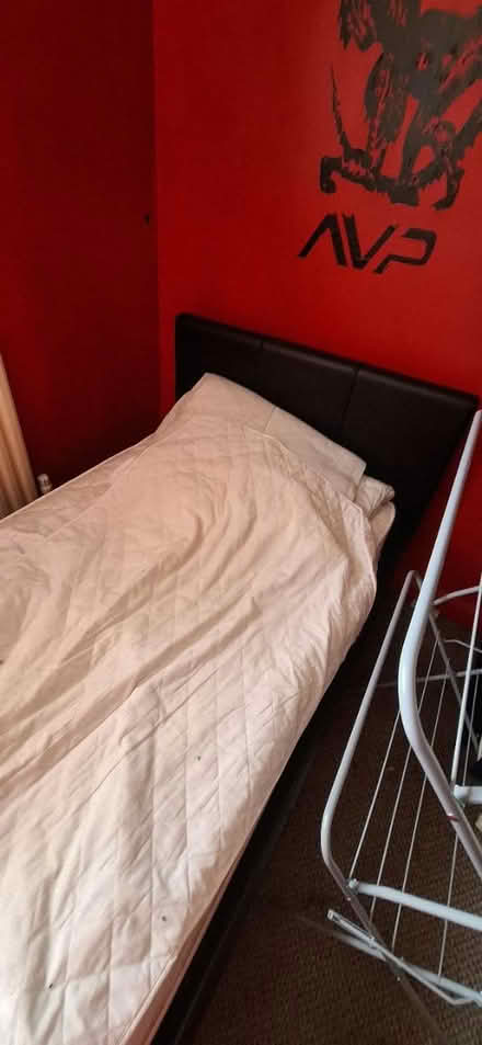 Photo of free Single bed (Kidsgrove ST7) #1