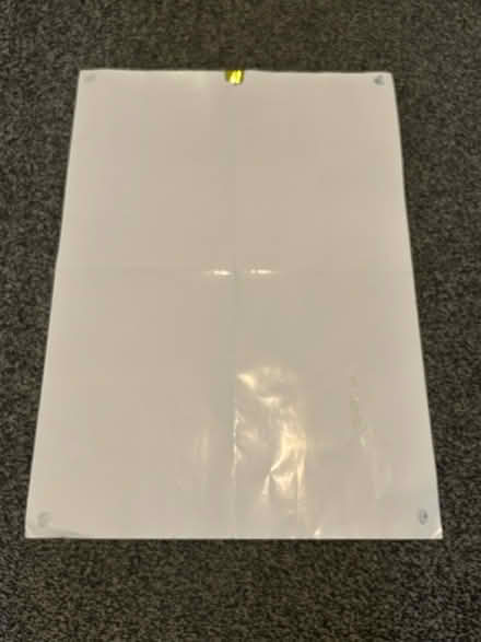 Photo of free Cat poster (Jennetts park RG12) #4