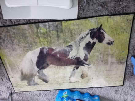 Photo of free Rug (Maidenhead SL6) #1