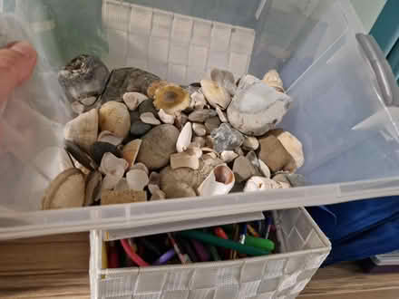 Photo of free Shells and stones (Sainsburys GL52) #1