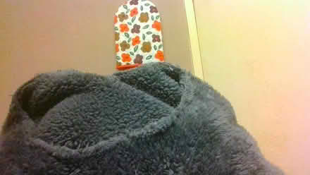 Photo of free 2 Teddy Fur Hoodie Blankets nohoods (BA2) #1