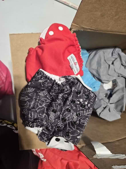 Photo of free Reusable baby diapers (16th and Woodbine) #1