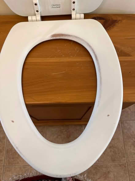 Photo of free Elongated Toilet Seat (Groton near Boutwell School) #2