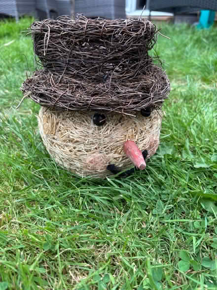 Photo of free Christmas plant pot (Horsham) #1