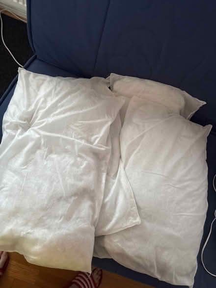 Photo of free 4 Pillows (Rotherham S62) #1