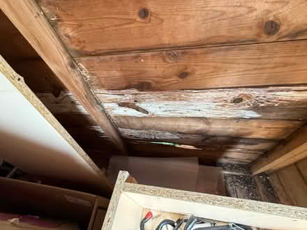 Photo of free 6x8 wooden shed (Bishop Sutton BS39) #4