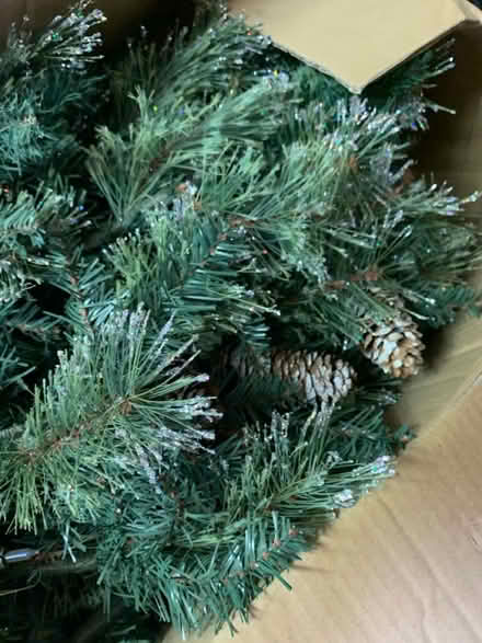 Photo of free Christmas Tree With 2 Sets of Fairy Lights (Durham DH1) #2