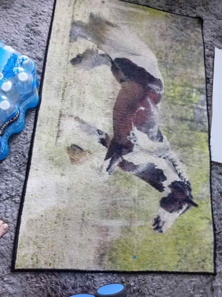 Photo of free Rug (Maidenhead SL6) #2