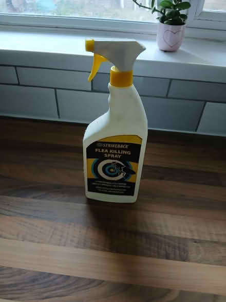 Photo of free Nearly full bottle of flea spray (B26) #1
