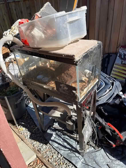 Photo of free Reptile cage (Mitty High area) #1