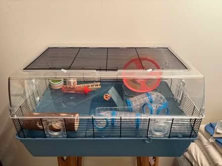 Photo of free Hamster cage + (BN1) #1