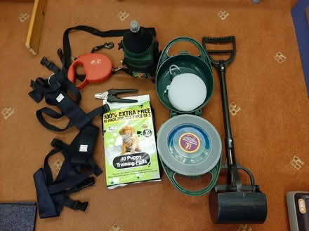 Photo of free Dog items (Braintree CM7) #2