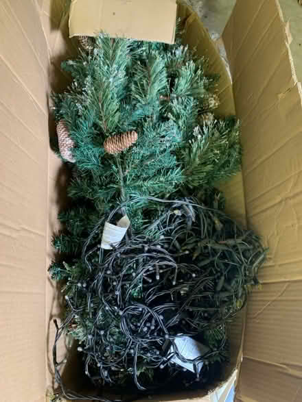 Photo of free Christmas Tree With 2 Sets of Fairy Lights (Durham DH1) #1