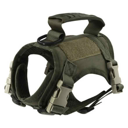 Photo of cat harnesses and a leash (Philadelphia) #2