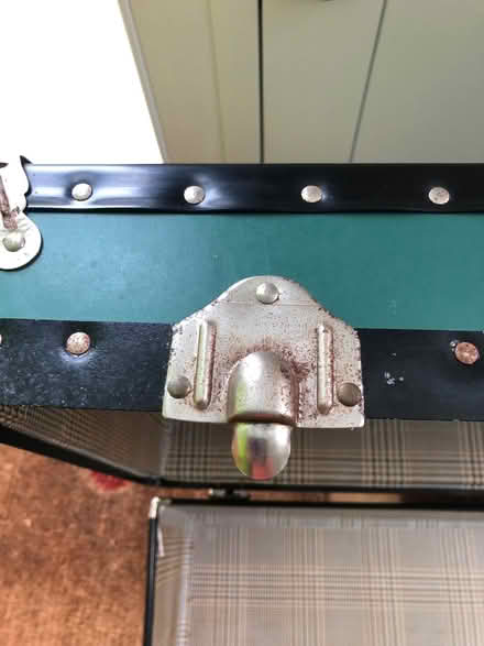 Photo of free Trunk (Barnes SW13) #3