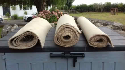Photo of free carpet (Clutton Hill) #1