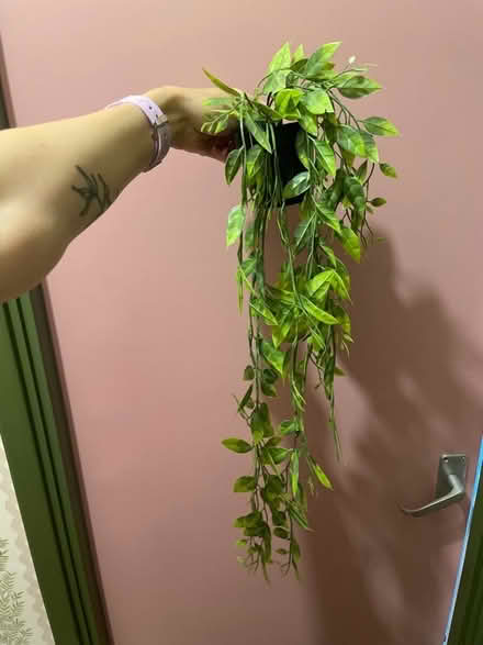 Photo of free Fake hanging plants (Ruskin Park SE5) #2