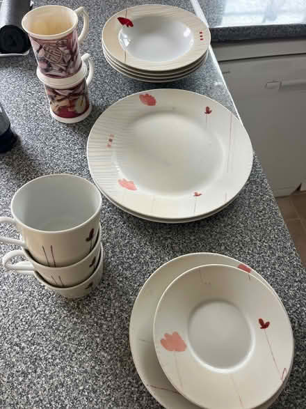 Photo of free Cups and plates (West Kingsdown) #3