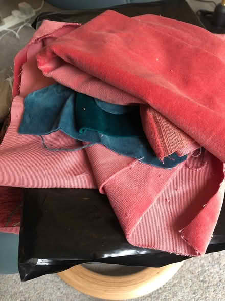 Photo of free Velvet (Woburn Sands MK17) #1