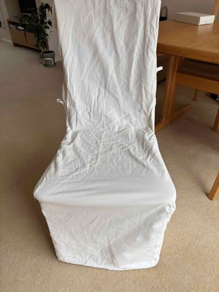 Photo of free Dining Chair cover. (Bexleyheath DA6) #1