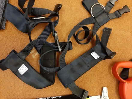 Photo of free Dog items (Braintree CM7) #3
