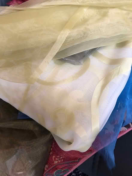 Photo of free Organza (Woburn Sands MK17) #1