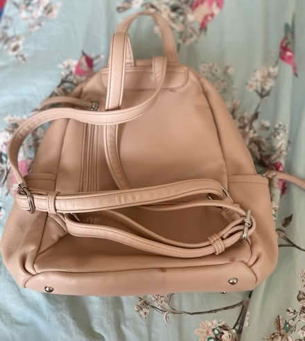 Photo of free Backpack (E17) #3