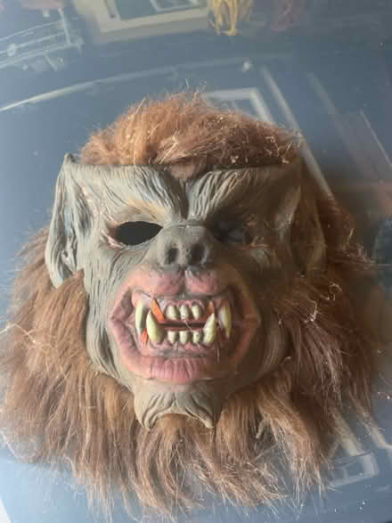 Photo of free Halloween masks (Weymouth Landing) #1