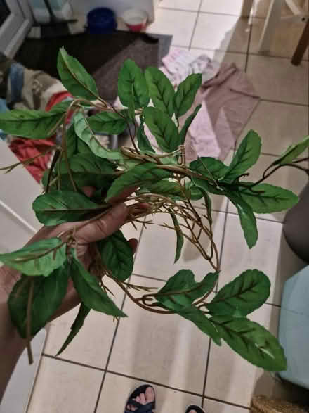 Photo of free Silk foliage (Sainsburys GL52) #1