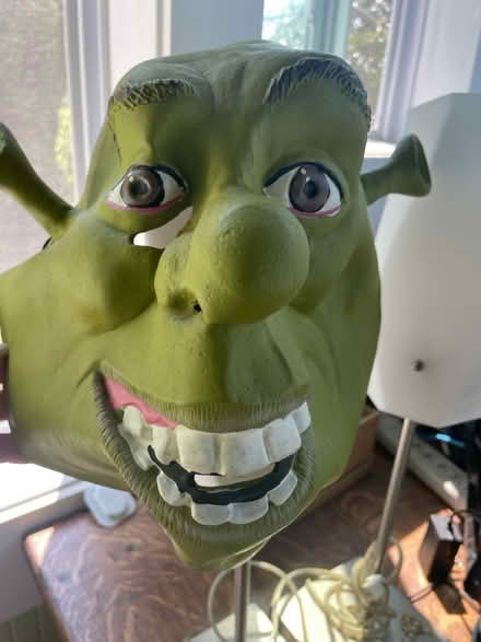 Photo of free Halloween masks (Weymouth Landing) #2