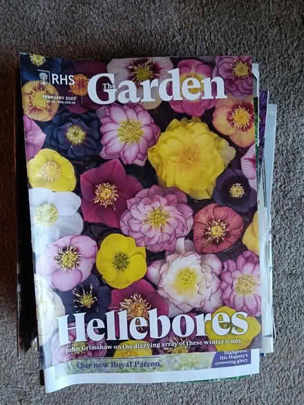 Photo of free RHS magazines (Baildon BD17) #1