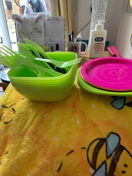 Photo of free Plastic bowls and cutlery (Poole BH12) #1