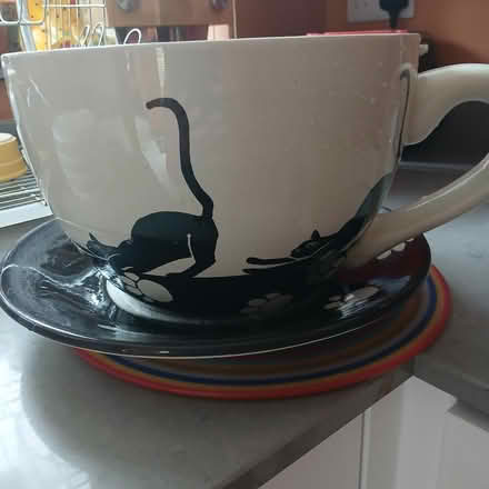 Photo of free Planter with cat motif (Bradford on Avon BA15) #1