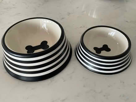 Photo of free Food bowls for pets (Neutral Bay) #2