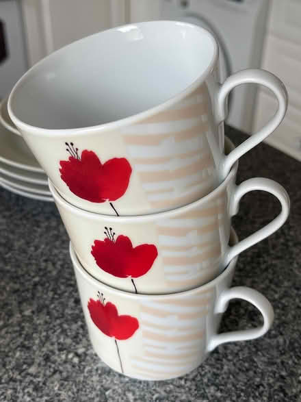 Photo of free Cups and plates (West Kingsdown) #1