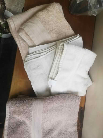 Photo of free Five towels (West End Woking) #1