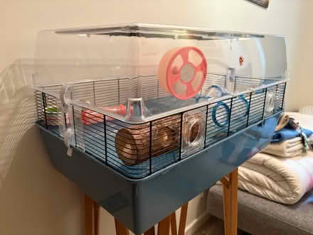 Photo of free Hamster cage + (BN1) #2