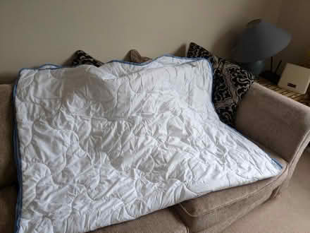 Photo of free Single 3.7 tog duvet (Portishead (BS20)) #2