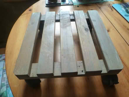 Photo of free Plant stand on wheels (BS3 Southville) #1