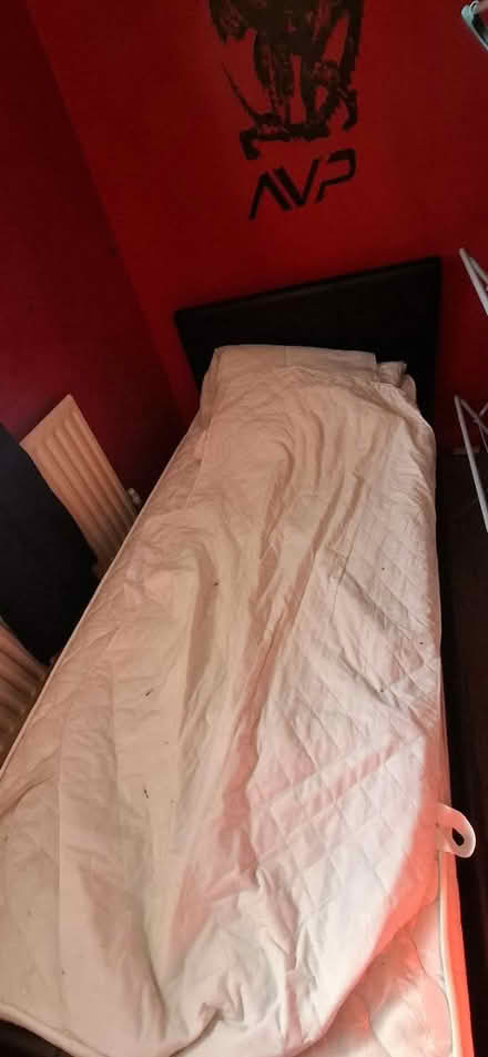 Photo of free Single bed (Kidsgrove ST7) #2