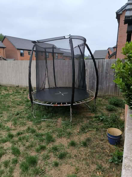 Photo of free Trampoline (Dinas Powys CF64) #1