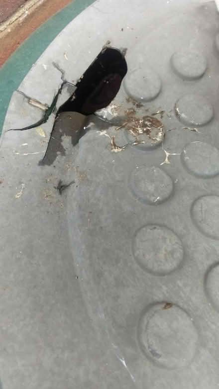 Photo of free Water butt💦 (Folkestone Kent) #1