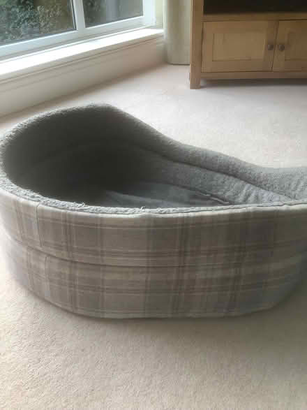Photo of free Dog bed (Thornton FY5) #3