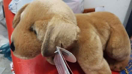 Photo of free stuffed brown dog (Allen) #1