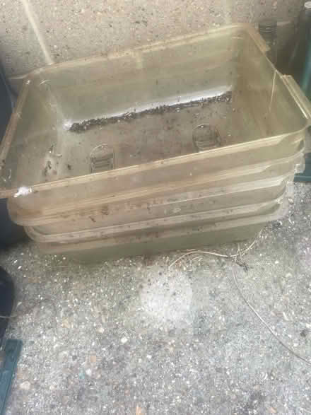 Photo of free Garden closhes (Northfleet, Perry Street area) #2