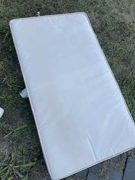 Photo of free Garden Cushions (Brigstock NN14) #3
