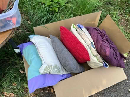 Photo of free A collection of things (SG6) #3