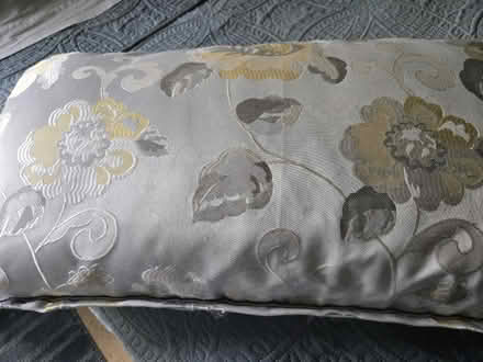 Photo of free Bedspread (Kennesaw) #1