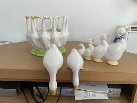 Photo of free Duck ornaments and plant pot (Worthing BN11) #1
