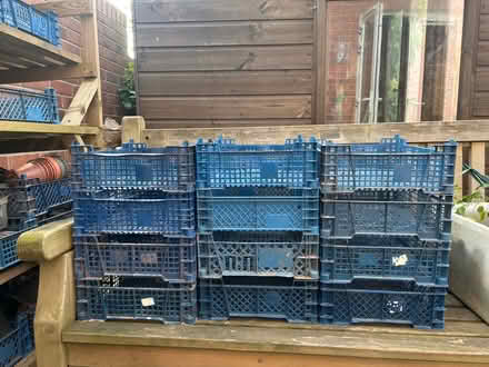 Photo of free trays (Bishops Hull) #1